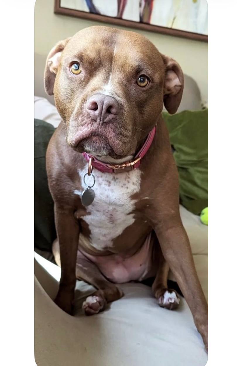 Captivating close-up portrait