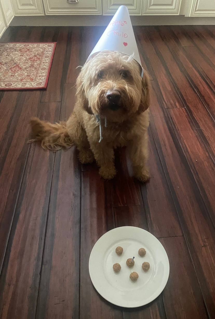 Special birthday moment