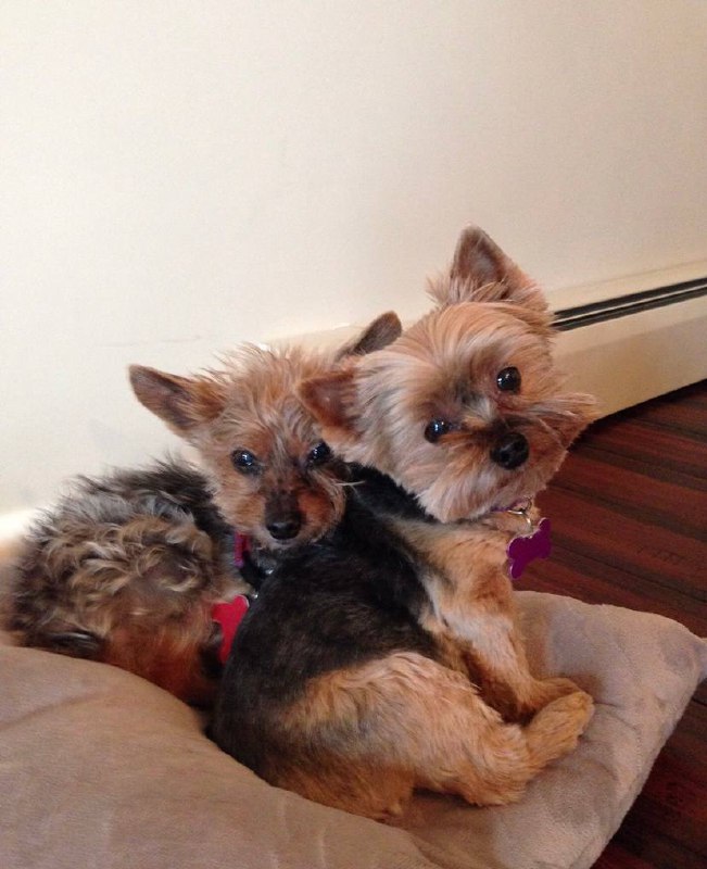 Beautiful outdoor portrait session