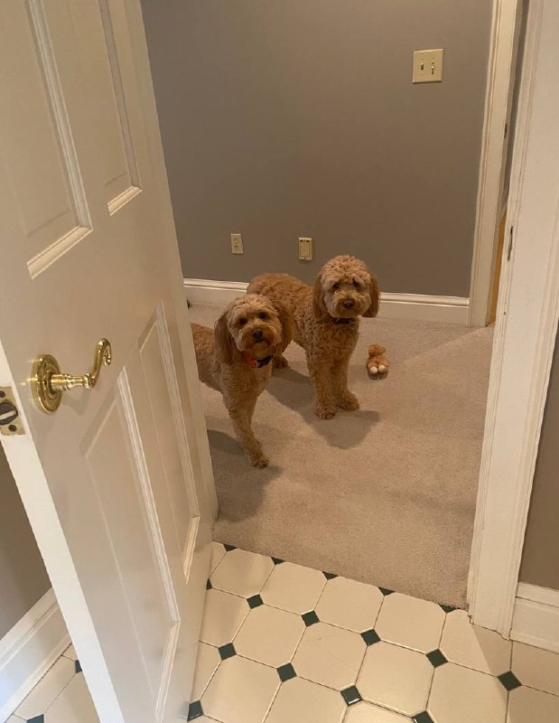 Two companions in doorway