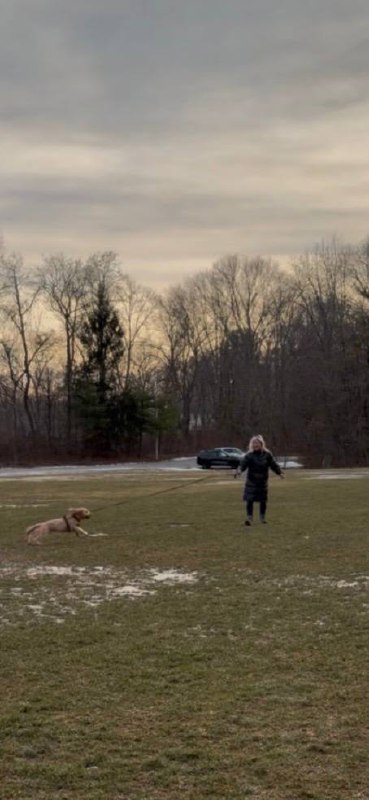 Joyful outdoor playtime