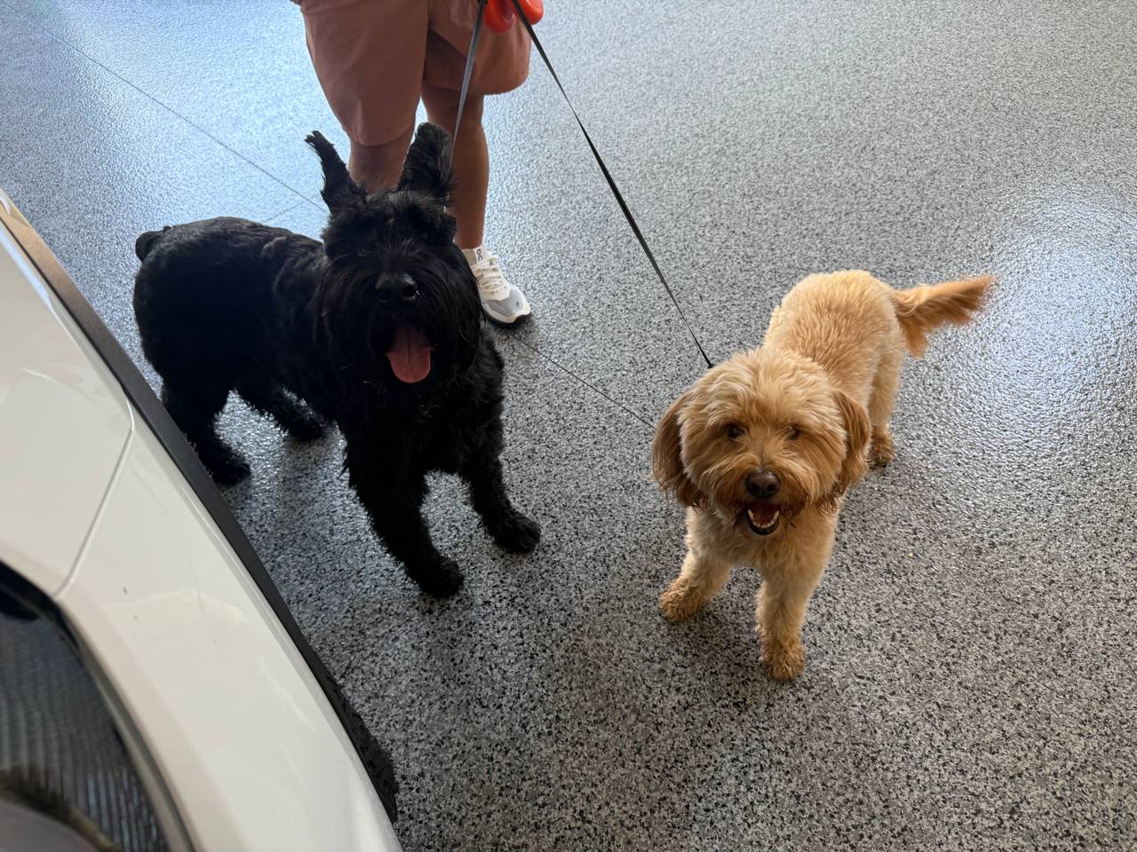 Dynamic duo ready for fun