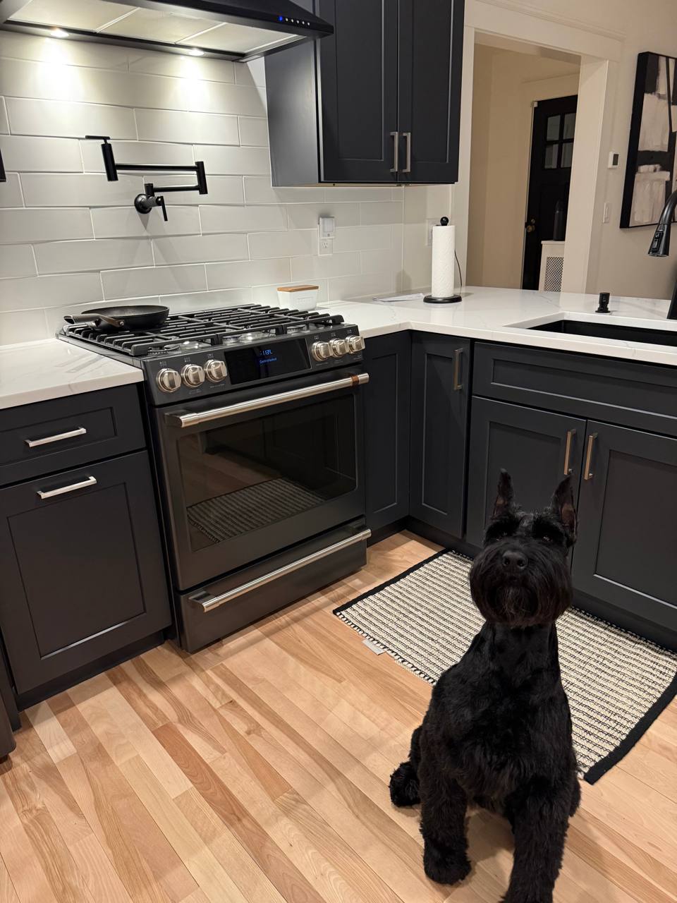 Patient pup waiting for dinner