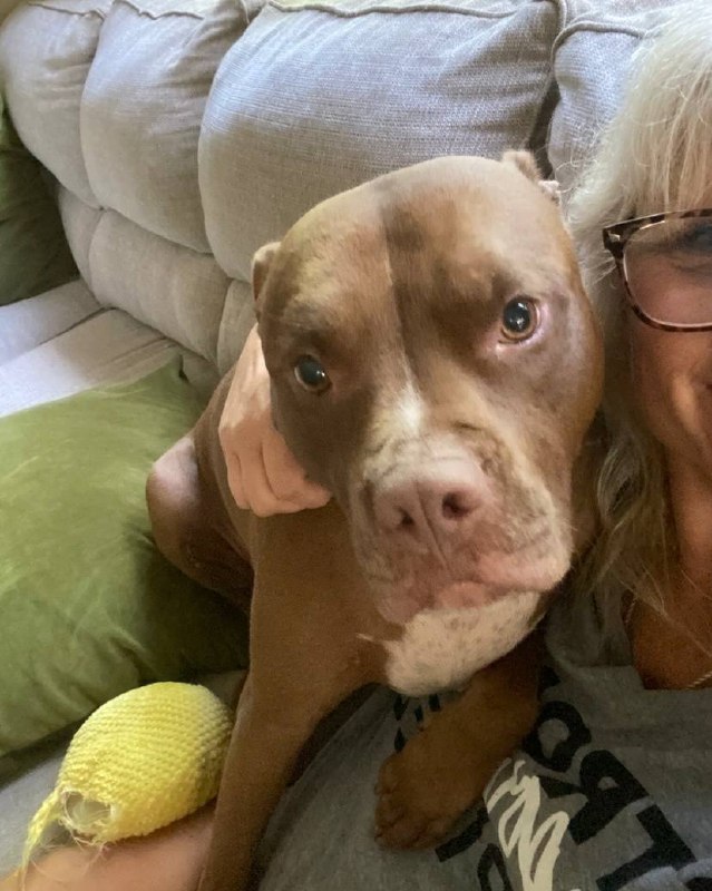 Gentle care and petting