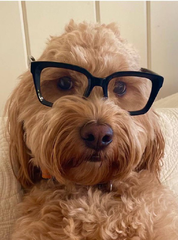 Unique personality celebration