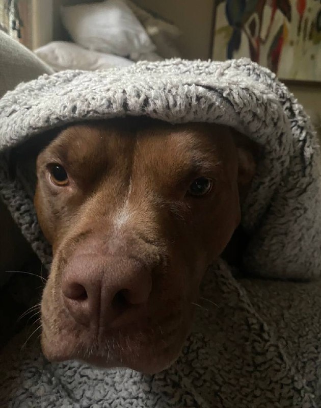 Cozy and content in comfortable surroundings