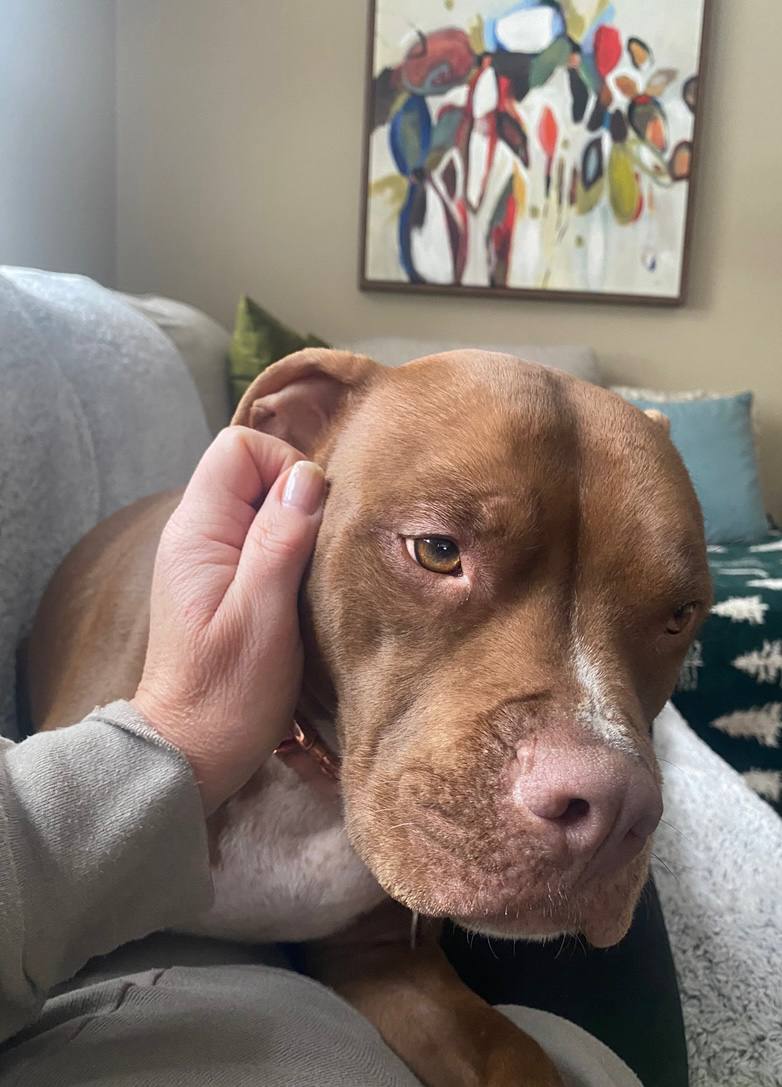 Gentle care and affection