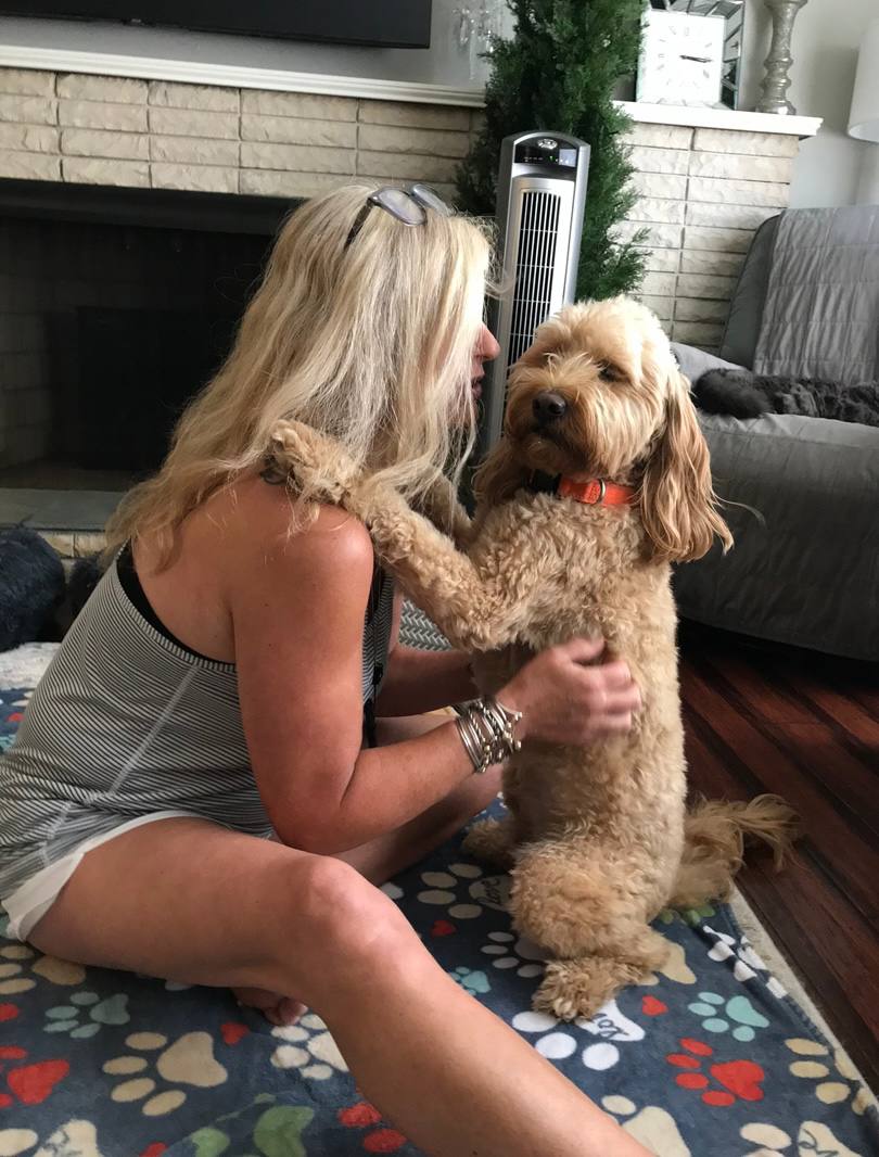 Cozy living room cuddles